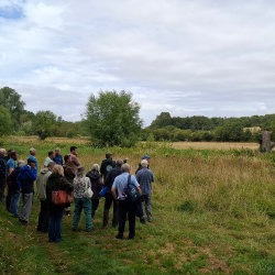 Upper Thames Catchment Partnership: Beavers in the Upper Thames