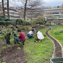 Weekly Gardening Sessions
