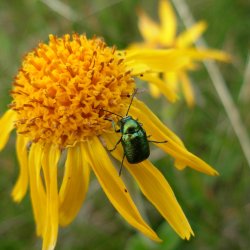 Riserva Naturale Paluaccio di Oga