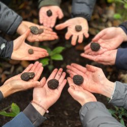Truffle Hunting Experience Day