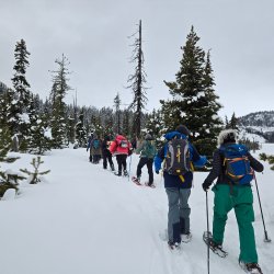 A group of people with snowshoes head down a trail between snow covered trees