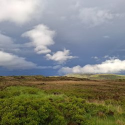 Primary School Peatland Day at Glenveagh National Park- - TEST (NOT A VALID EVENT)