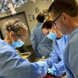 Advanced neurology course Level I