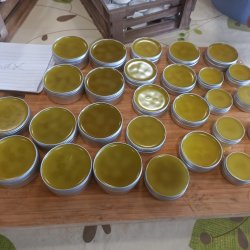 Climate Friendly Gardens - Wild Medicine and Balm Making