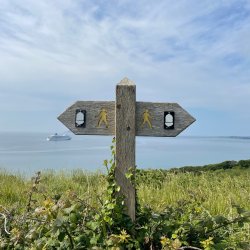 Responding to Polarisation
