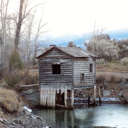 Dave's House of Clams (FREE)