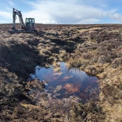 Knoxfauld; Heathy peat, farm and future
