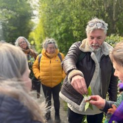 Discover Wild Food at Burnbake Campsite