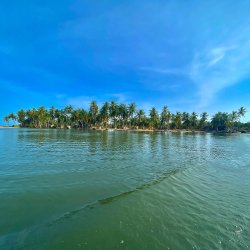 Island Experience - Beyond The Shore