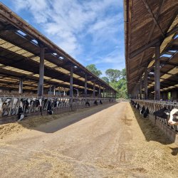 Precision Livestock Farming Conference 2026