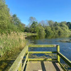 Botanical Skills NI: Introduction to Aquatic and Emergent Plants