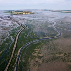 Northey Island Aerial - Tom McGahan - view of island and estuary and causeway.