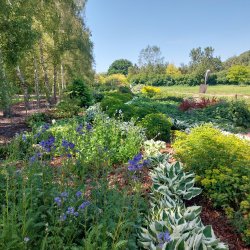 (2026) Breezy Knees Gardens 2026 Garden Entry with Hot Drink and Cake Gift Voucher