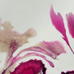 Botanical Watercolor from Life Workshop · 18:00–21:00 · Age 16+