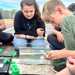 🔬The Power of Plankton