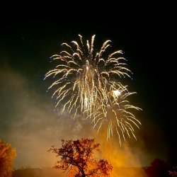 fireworks in Brabyns park with a bonfire in the background