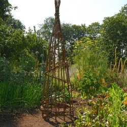 Weaving a Willow Plant Support with Hazel Godfrey (21 January 2027)