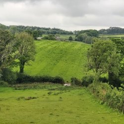 Bioblitz