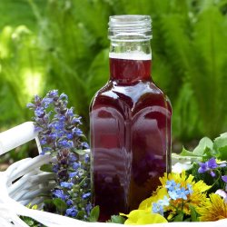 Autumn gin infusions and fruit vinegars at Ravenscraig Walled Garden