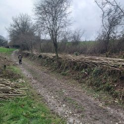 Hedge-ucation