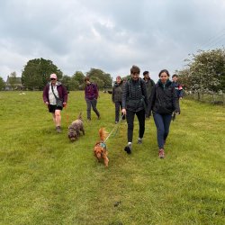 Castle Ashby Lakes Dog Pack Walk — 3.5 Miles