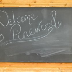 Pinewood Trust Activity