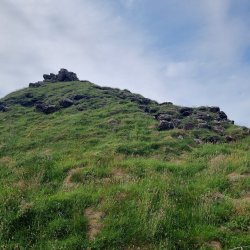 Botanical Skills NI: Geodiversity and geoconservation in Northern Ireland, with a plant on top