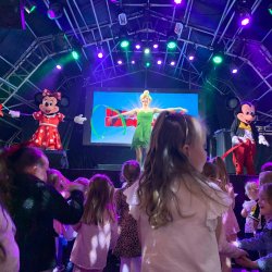 Magical Kingdom Party