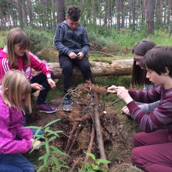 Bushcraft & Shelter Building