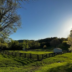 Wellness Retreat: Farm Yoga & Pavilion Sound Bath