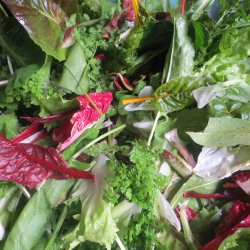 Secrets of the Salad Leaves
