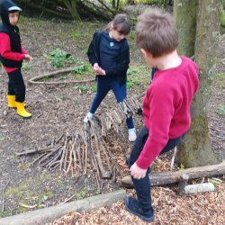 Forest School Home Education West Boldon Lodge Autumn 1