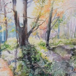 Autumn Light and Trees in Watercolour - Susan Neale