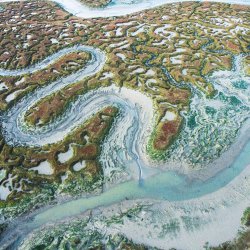 Tollesbury Marshes (C) Tom McGahan - Picture of the Saltmarsh from above with its amazing colours and shapes