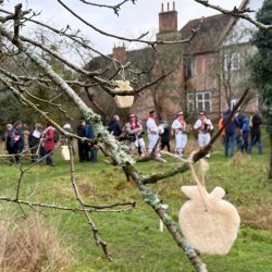 Wassail