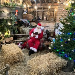 Farmer Christmas at Baylham House Farm ( 12th & 13th December 2026 )