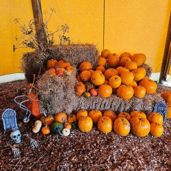 Halloween Activity - Billingford Nature Walks