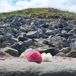 Sovereign Heart Gathering Loughcrew