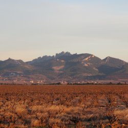 A Tasting of Mature Burgundy, Bordeaux & Rhône