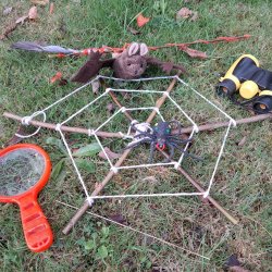 Halloween Nature Detectives