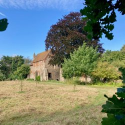 Bat Walk - Franciscan Gardens