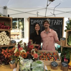 Tampopo Farm- Diversifying veggies with flowers
