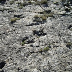 La valle dei dinosauri