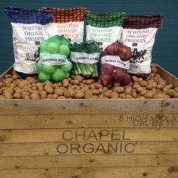 Chapel Organics produce