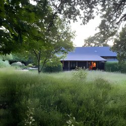Finding Peace Nervous System Reset Yoga Retreat