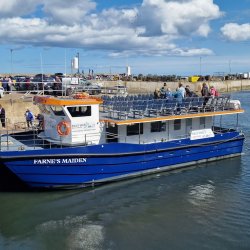 Seahouses and Farne Islands Naturist Boat Trip