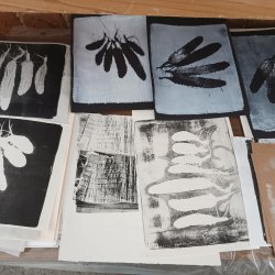 Drawing with monoprinting, with Carole Bury