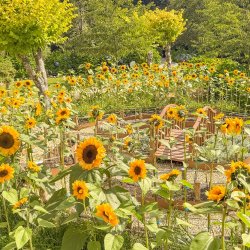 Garden Admission
