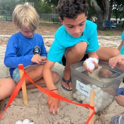 Sea Turtle Nesting and Conservation Family Workshop