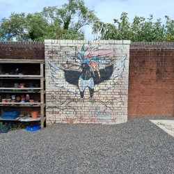 colourful magpie wall mural